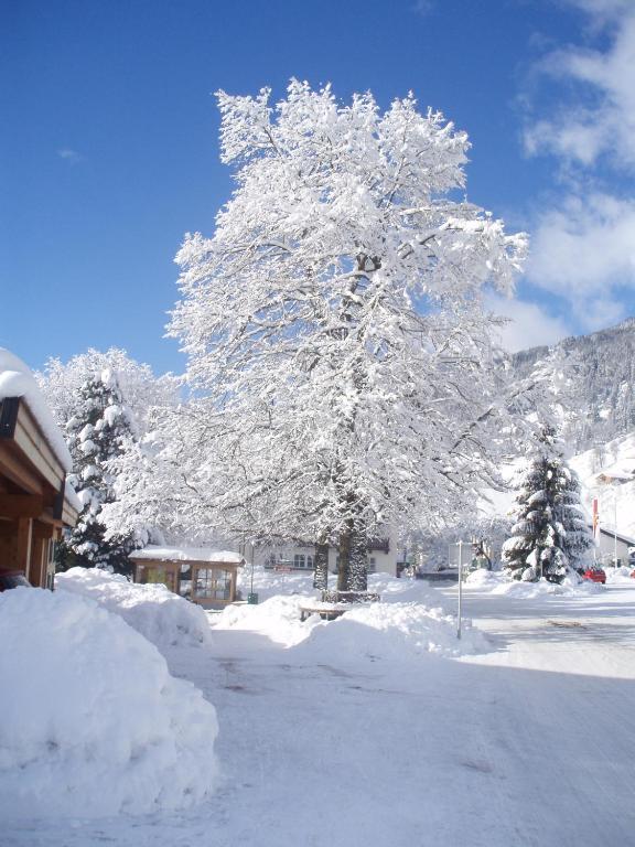 Haus Seifriedsberger Apartman Bramberg am Wildkogel Kültér fotó