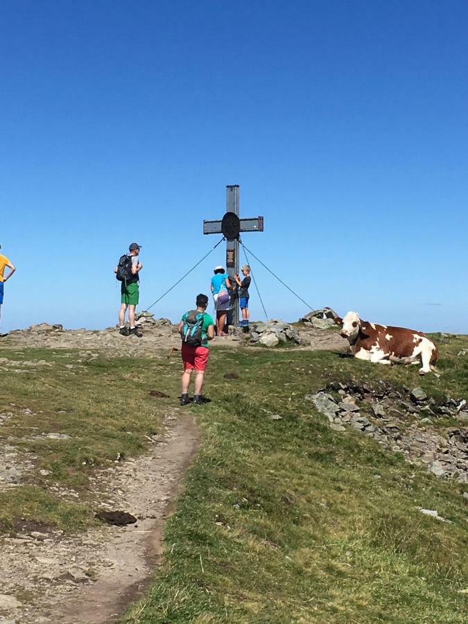 Haus Seifriedsberger Apartman Bramberg am Wildkogel Kültér fotó
